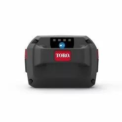 Castorama Batterie Toro 81860 60V 6Ah
